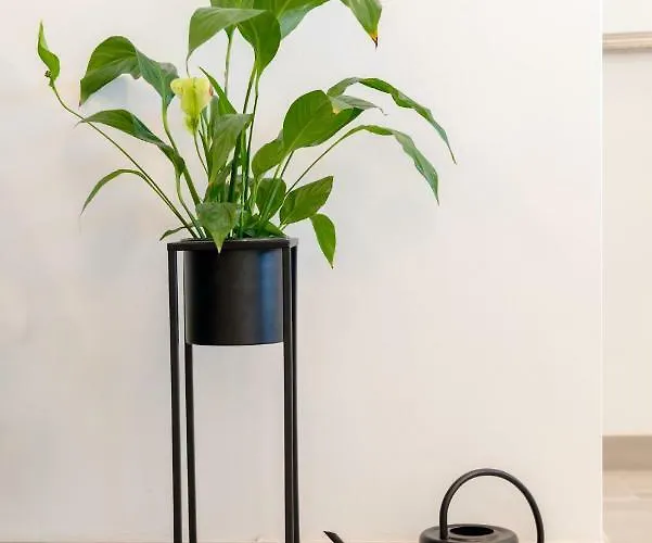 La Vie Est Belle 特罗吉尔