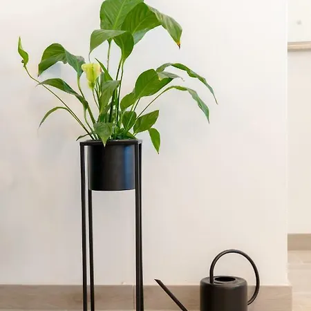 La Vie Est Belle Trogir